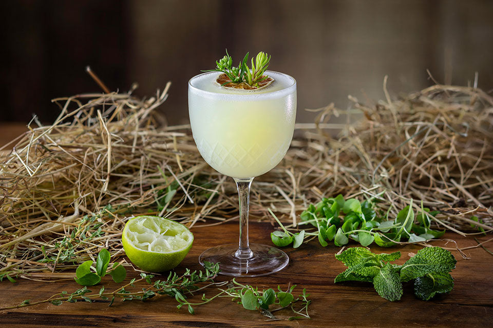 Elderflower Gimlet Warners Distillery US
