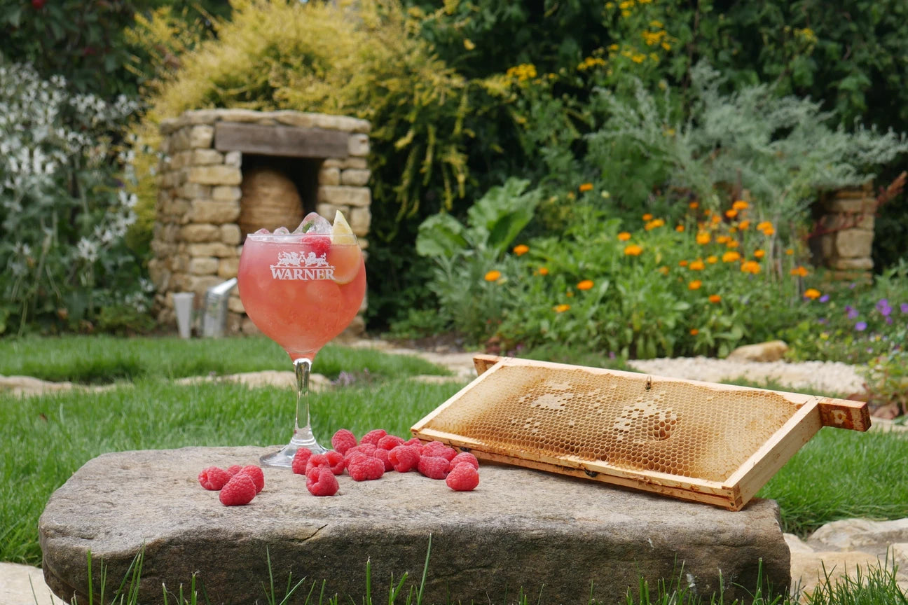 Berry Buzz – Warners Distillery US