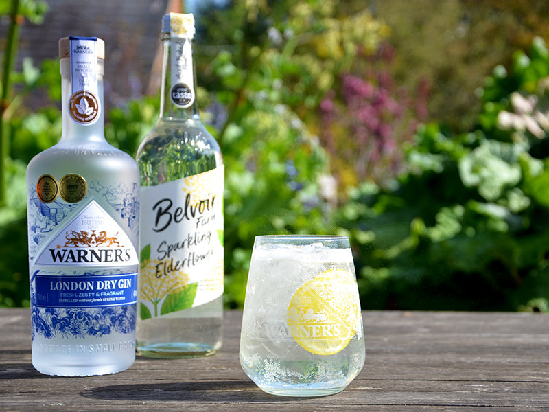 Elderflower Gin Spritz Warners Distillery US