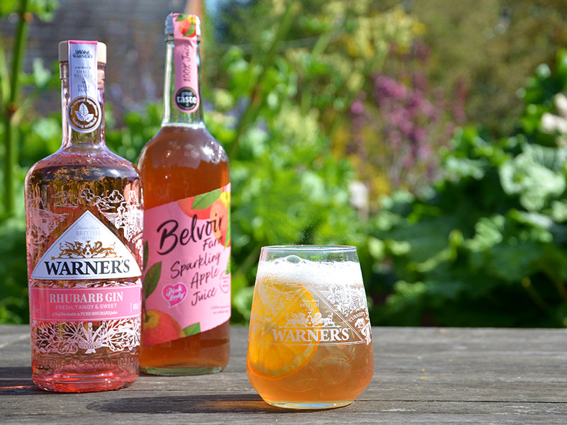 Rhubarb Gin Spritz Warners Distillery US