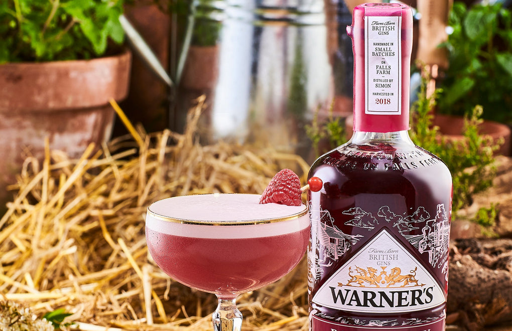Harrington Clover Raspberry Gin Cocktail