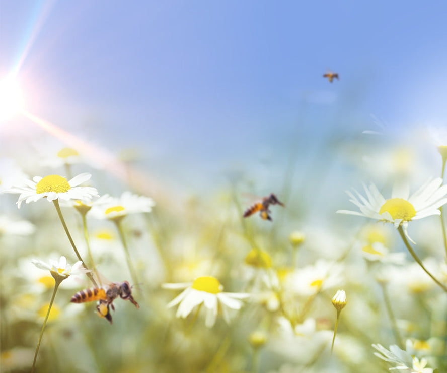 Warners Distillery US