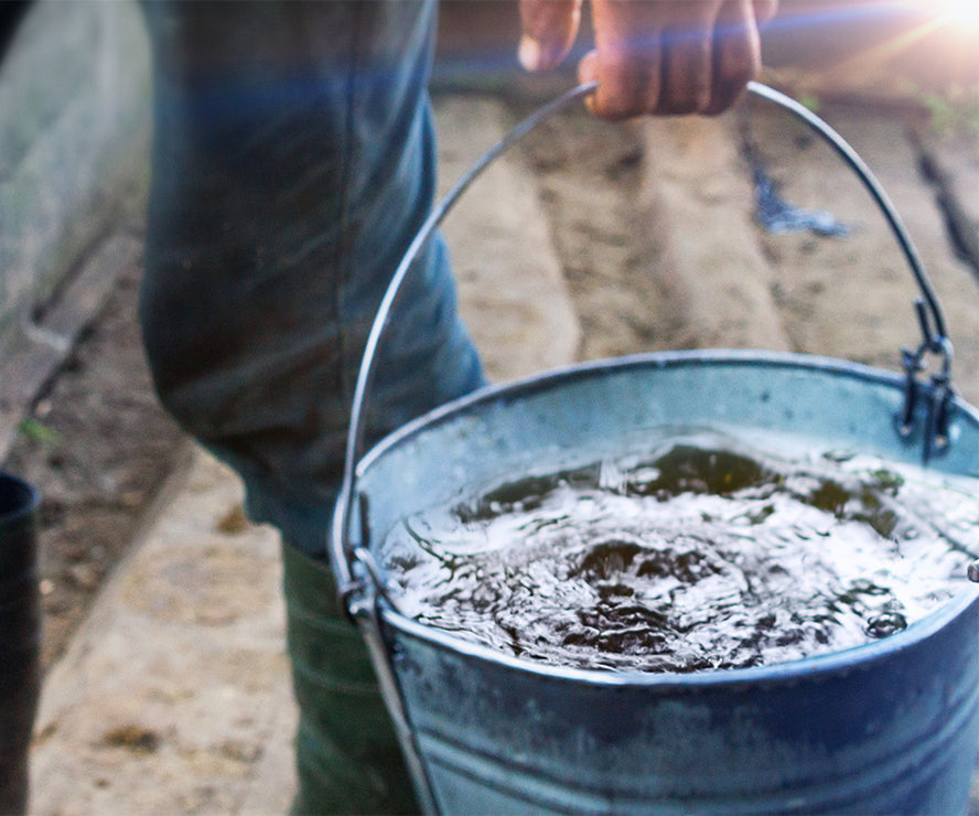 Warners Distillery US